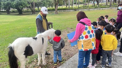 0319迷你馬相見歡